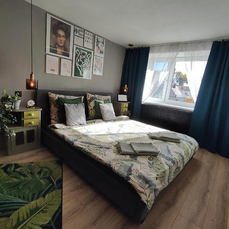 Banska Bela Dian Feelhome מראה חיצוני תמונה